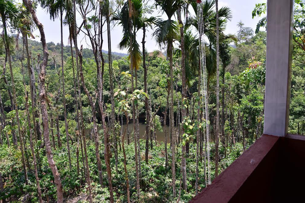 River Near Coorg Jambur Exterior photo