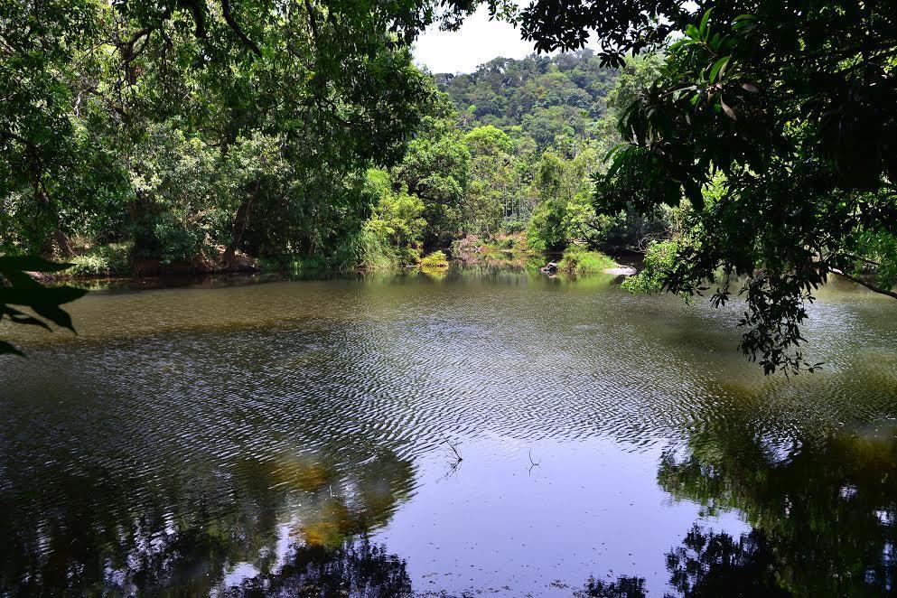 River Near Coorg Jambur Exterior photo